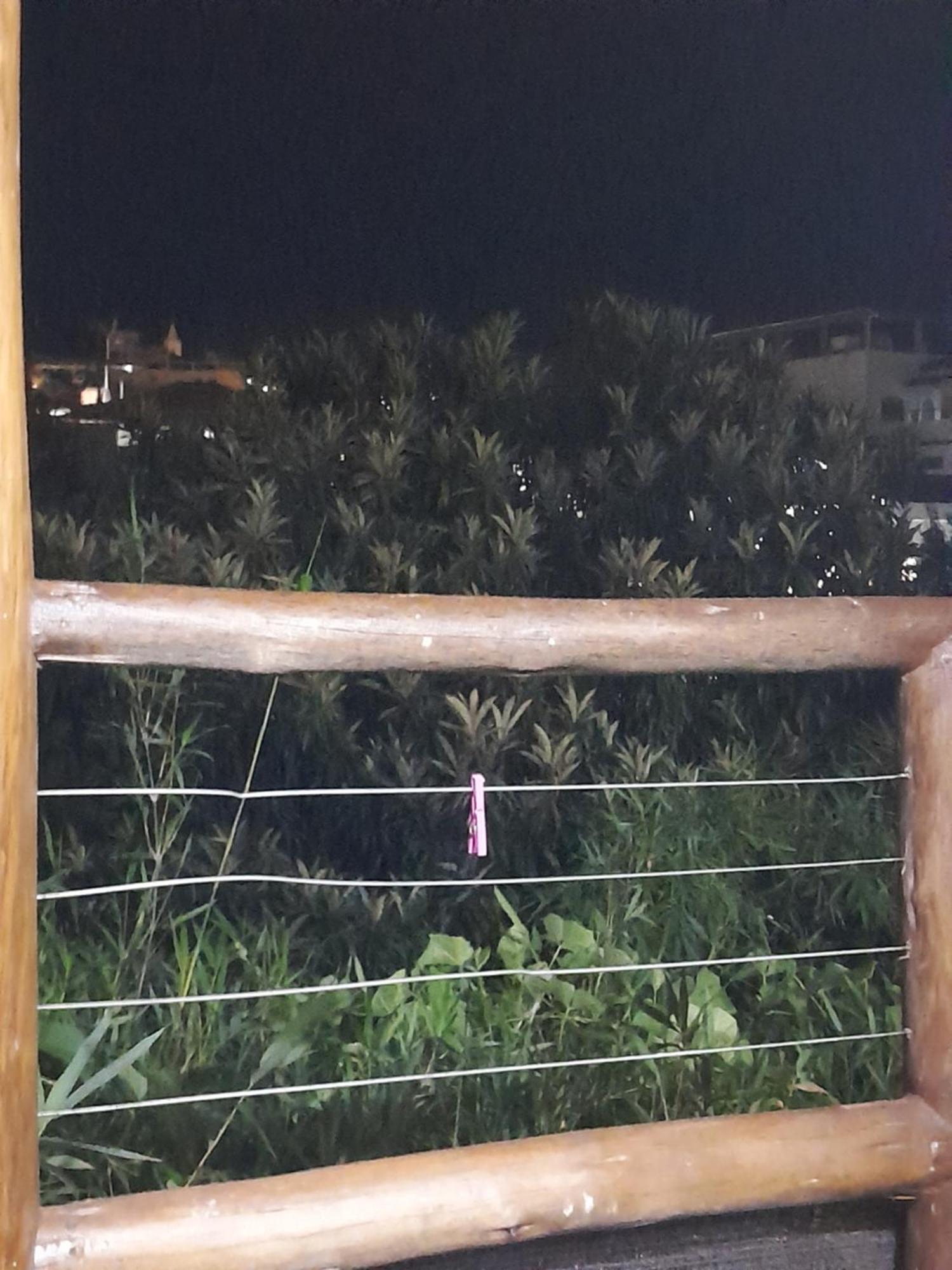 Chale Bambu3 Apartment Cunha Ngoại thất bức ảnh